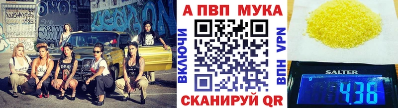 A PVP СК  Светлоград 