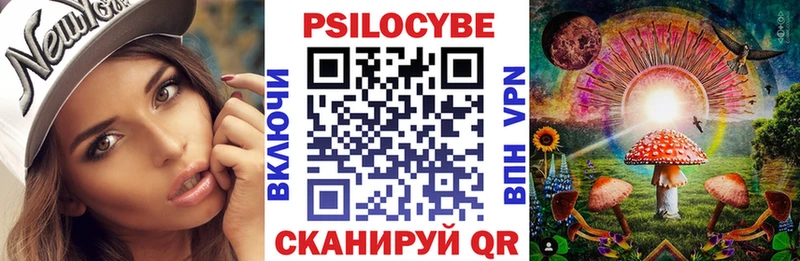 Псилоцибиновые грибы мицелий Светлоград