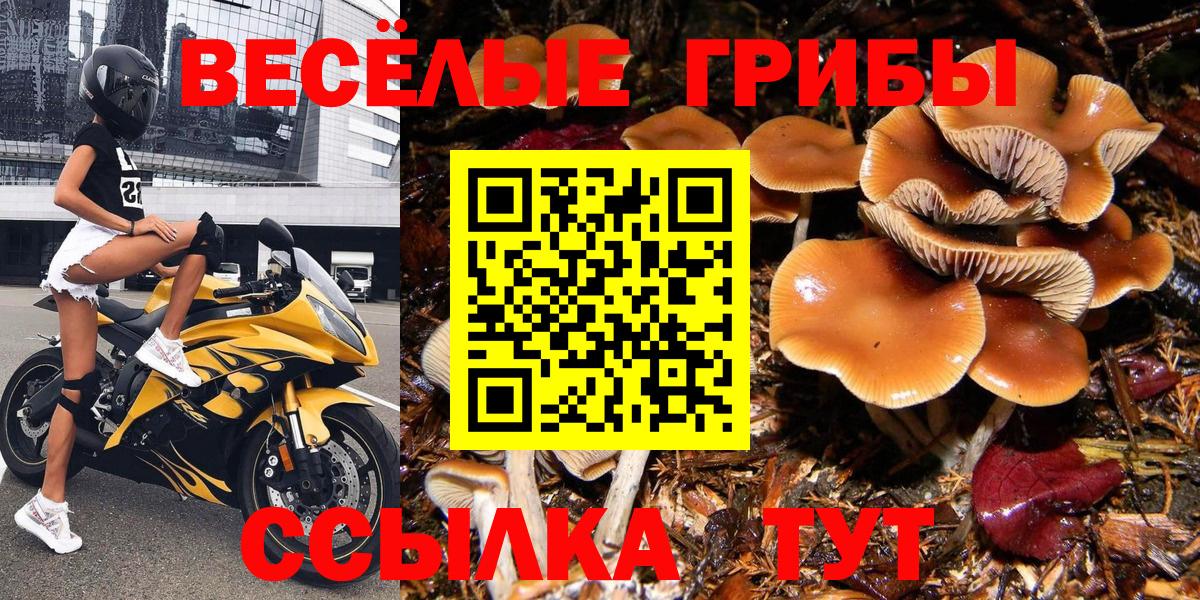 Галлюциногенные грибы мухоморы  Вход с VPN  Светлоград 