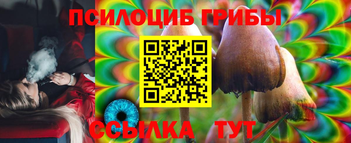 Галлюциногенные грибы Magic Shrooms Светлоград